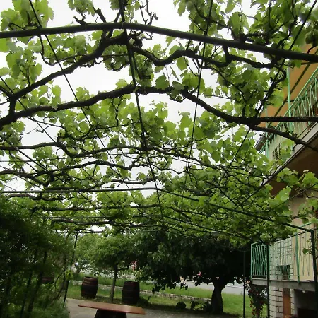 Green Garden Apartments Rovinj Exterior photo