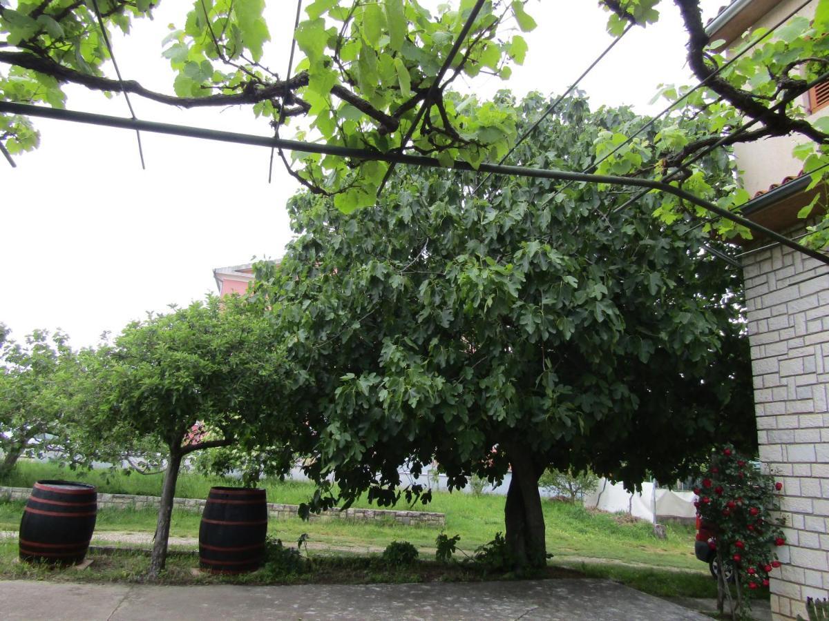 Apartman Garden